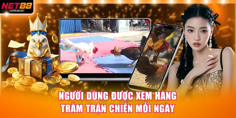 Người dùng được xem hàng trăm trận chiến mỗi ngày