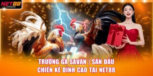 Trường Gà Savan